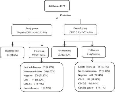 Frontiers Absence Of High Grade Cervical Intraepithelial Neoplasia In   980884 Thumb 400 